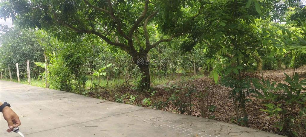 Đất 03! bán 1800m2 đất 03 gần chợ đầu mối đông tảo ngay vành đai 4, đường thông 2 ô tô, 0961 532 ***