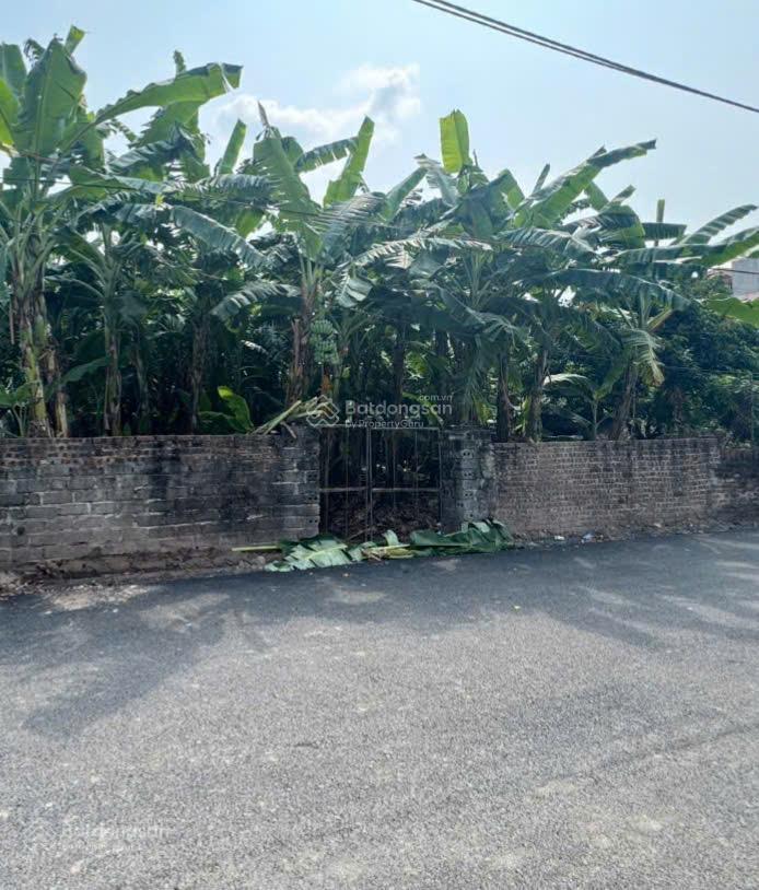 Đất vượng! bán 400m2 nhà vườn gần chợ đầu mối đông tảo, đường rộng 8m thông 2 xe tránh, 0961 532 ***