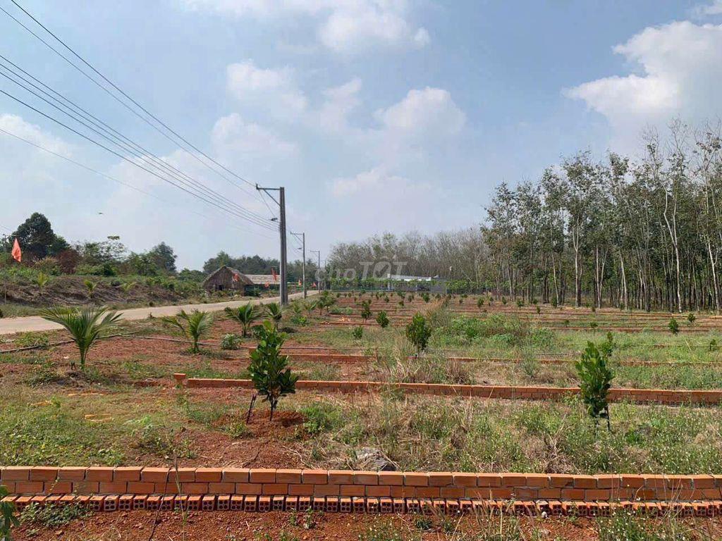 Bể nợ bán nhanh lô đất mẹ cho 500m2