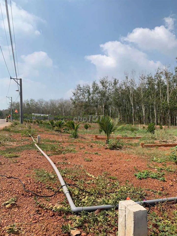 Bể nợ bán nhanh lô đất mẹ cho 500m2