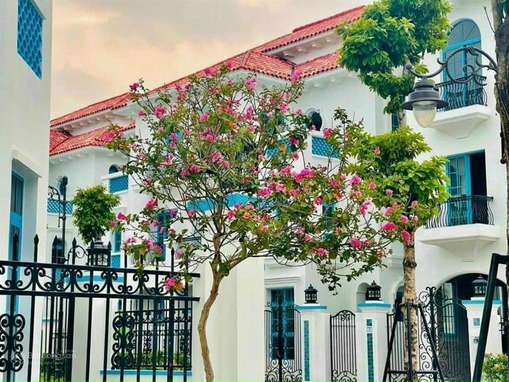 Bán gấp căn biệt thự song lập sun feria hạ long