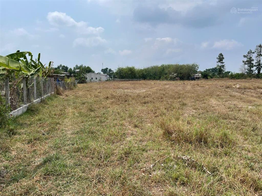 Bán gấp khu nghỉ dưỡng, trang trại tại xã phước thạnh, tây ninh, 2hécta có 680m2 thổ cư