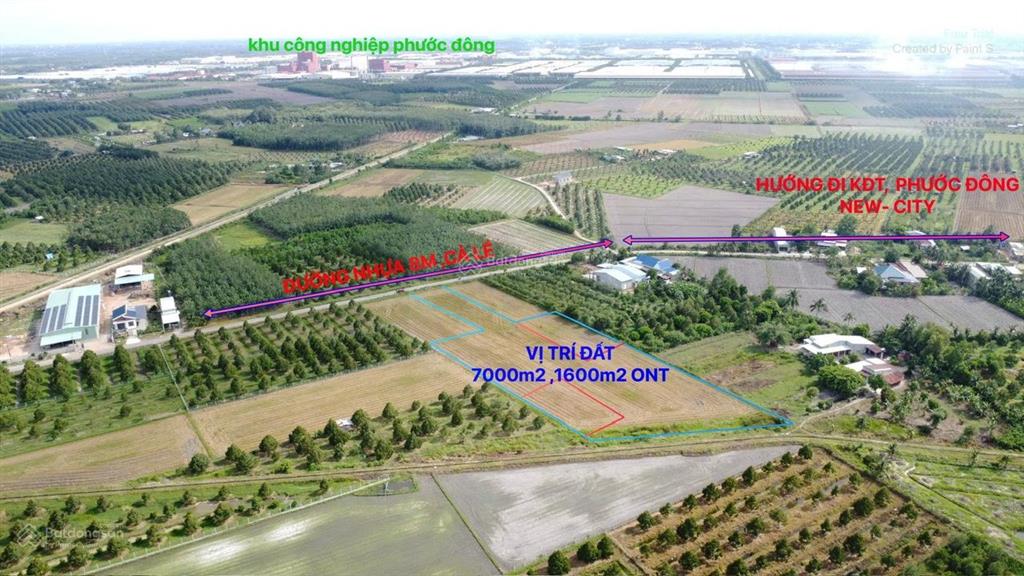 Bán đất gần phước đông new city, 6 tỷ vnd, 7000 m2, hàng hiếm tại giá ưu đãi