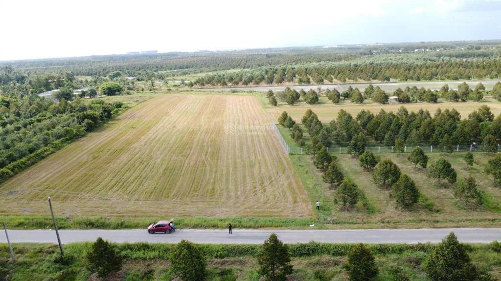 Bán đất gần phước đông new city, 6 tỷ vnd, 7000 m2, hàng hiếm tại giá ưu đãi