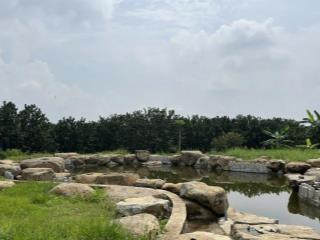 Bán khu vườn cây ăn trái sinh thái, mặt tiền đường hương lộ 15, xã bình lợi huyện vĩnh cửu