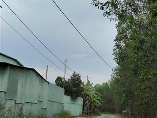 Bán đất nhà vườn có ao  diện tích 3.000m²  tân an, vĩnh cửu, đồng nai