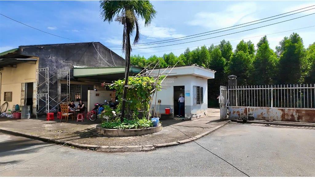 Bán nhà xưởng tiêu chuẩn tại cụm cn tân an, vĩnh cửu, đồng nai