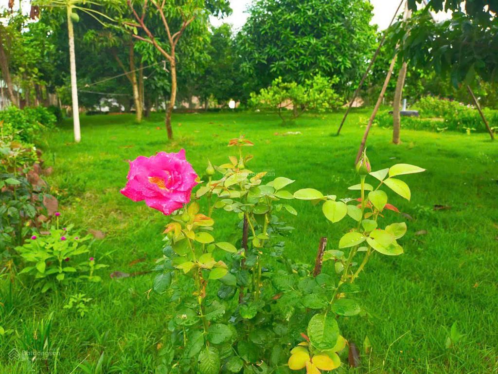 Chính chủ cần bán resort mini giáp hồ sông ray