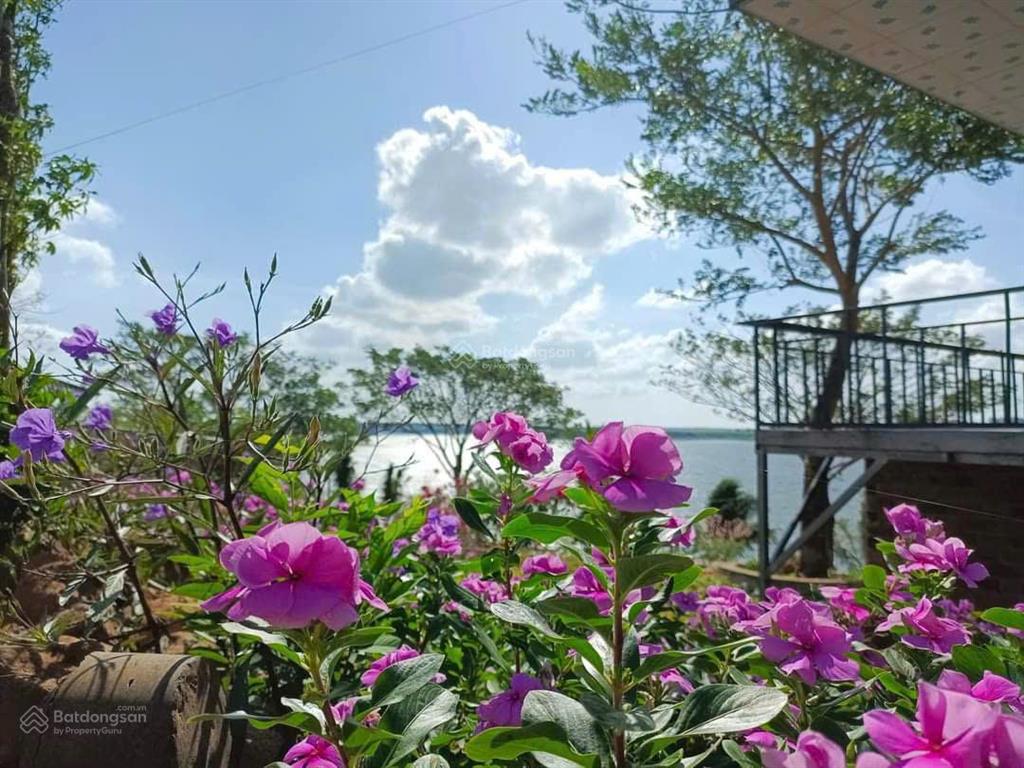 Chính chủ cần bán resort mini giáp hồ sông ray