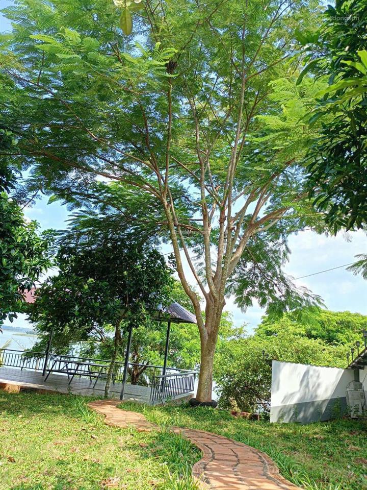 Chính chủ cần bán resort mini giáp hồ sông ray