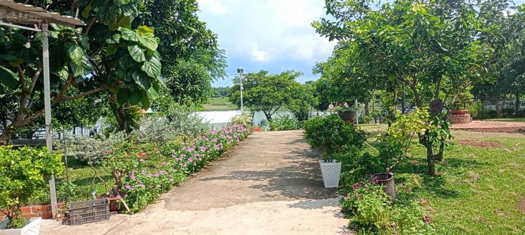 Chính chủ cần bán resort mini giáp hồ sông ray