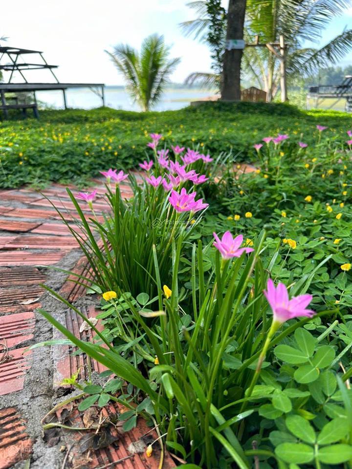 Chính chủ cần bán resort mini giáp hồ sông ray