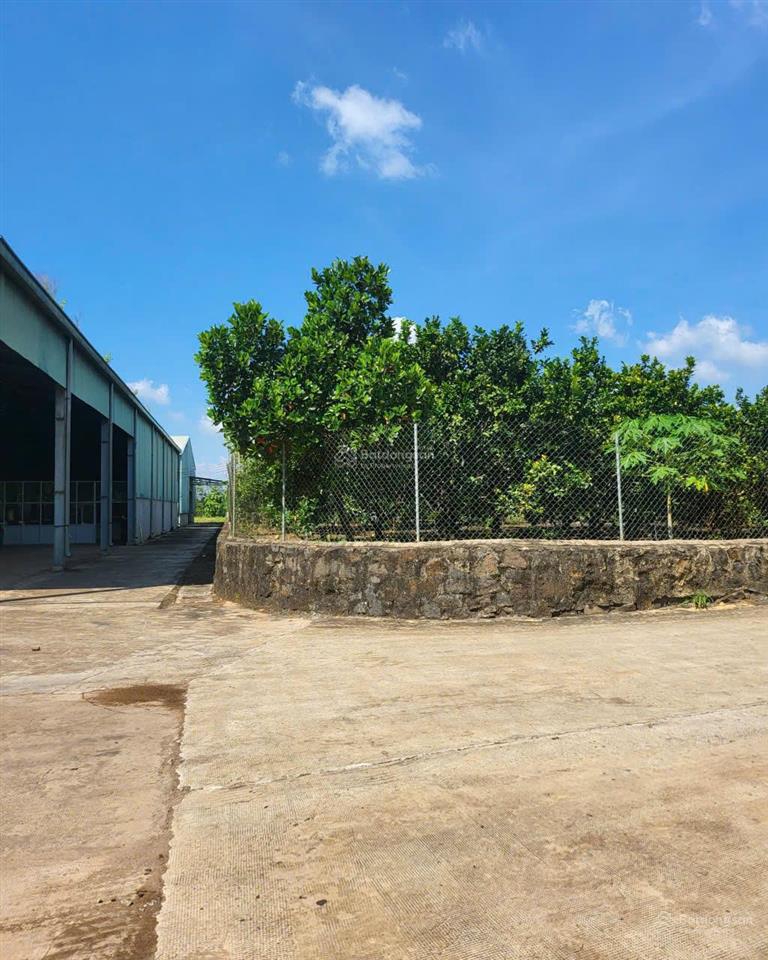 Bán nhà xưởng xã tân an  tỉnh đồng nai