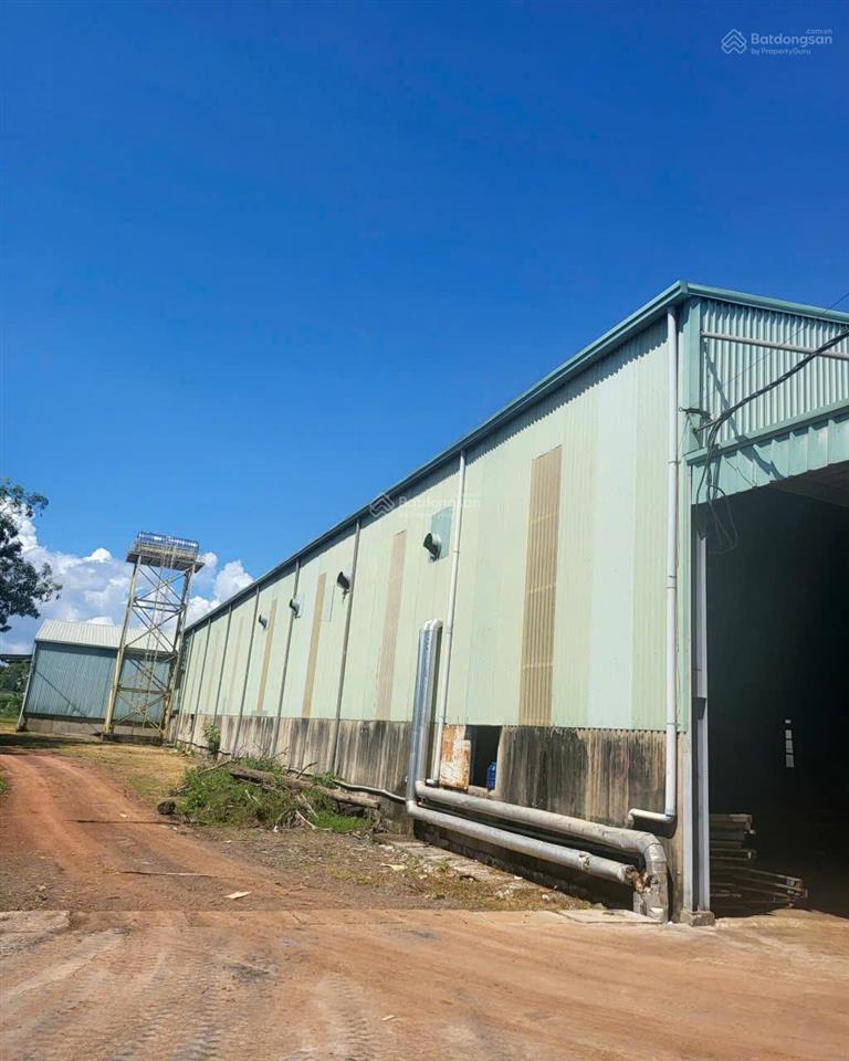 Bán nhà xưởng xã tân an  tỉnh đồng nai