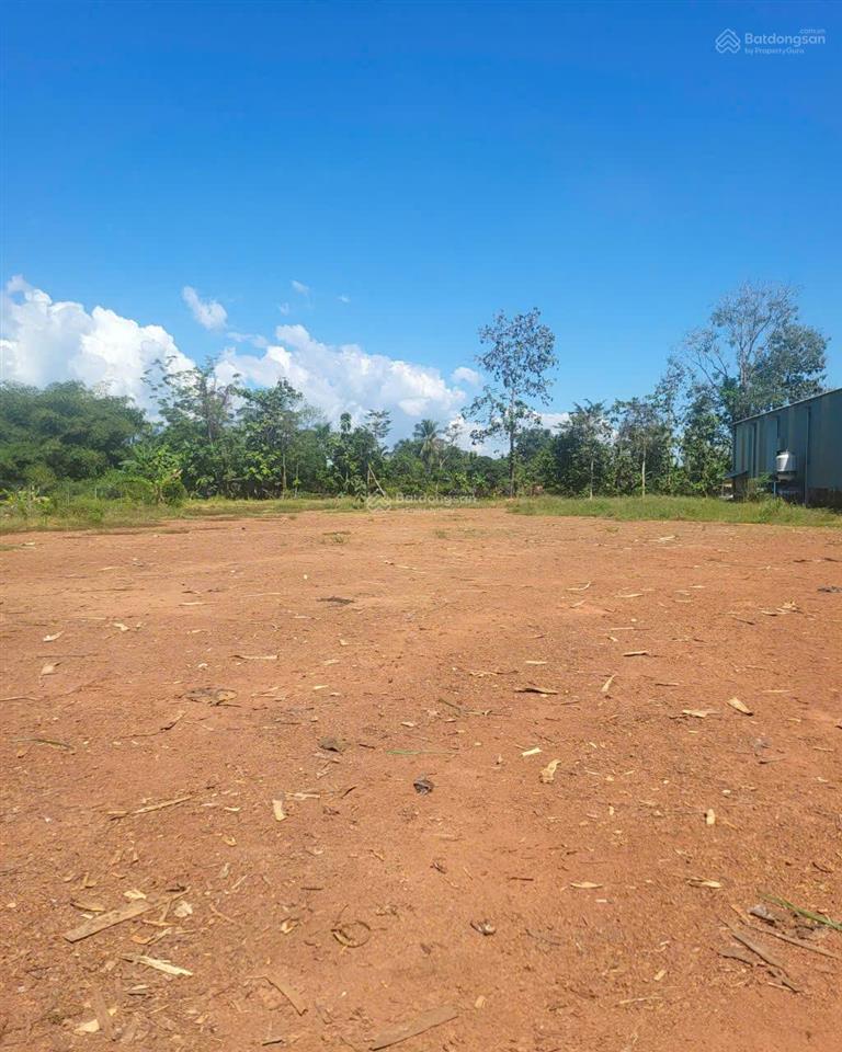 Bán nhà xưởng xã tân an  tỉnh đồng nai