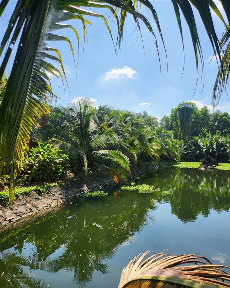 Bán nhà xưởng xã tân an  tỉnh đồng nai