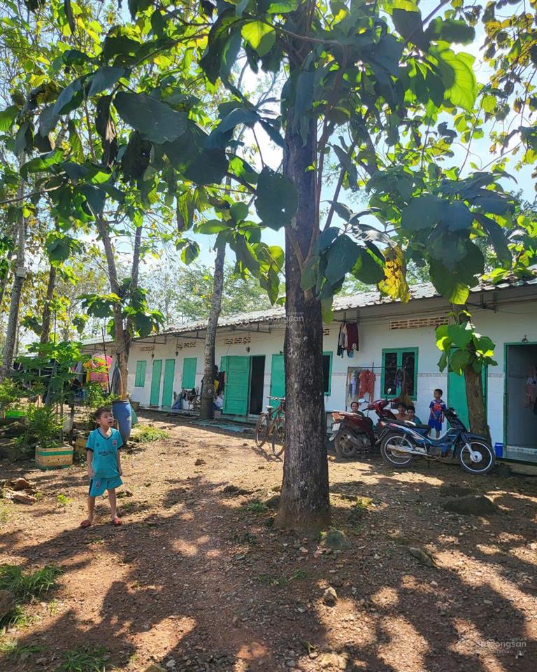 Bán nhà xưởng xã tân an  tỉnh đồng nai