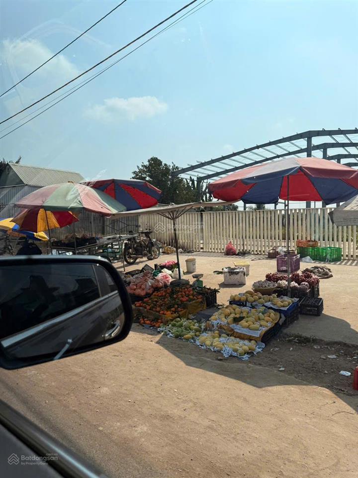 Bán đất vườn diện tích lớn xuân đông, cẩm mỹ, đồng nai