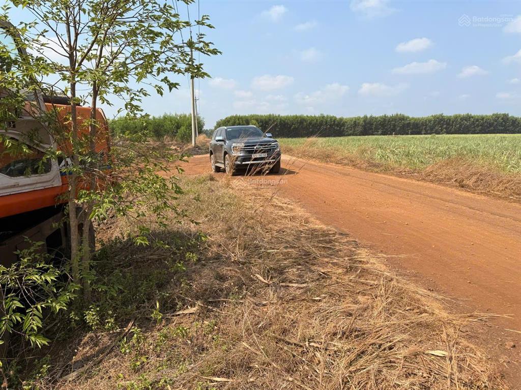 Bán đất vườn diện tích lớn xuân đông, cẩm mỹ, đồng nai