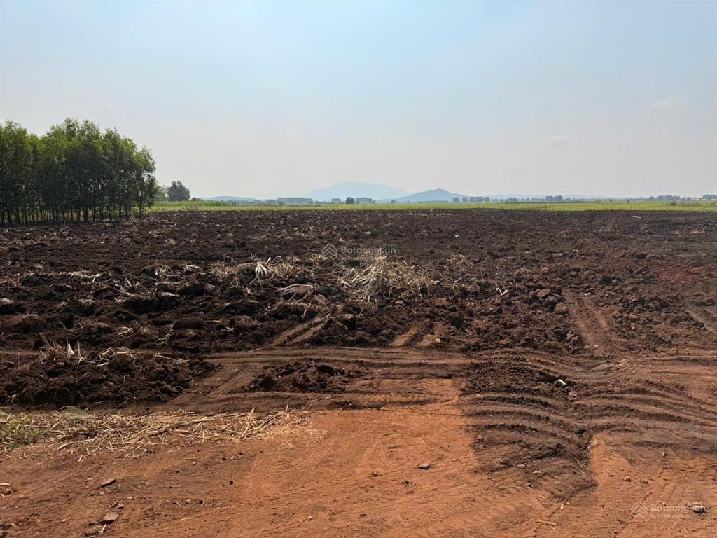 Bán đất vườn diện tích lớn xuân đông, cẩm mỹ, đồng nai