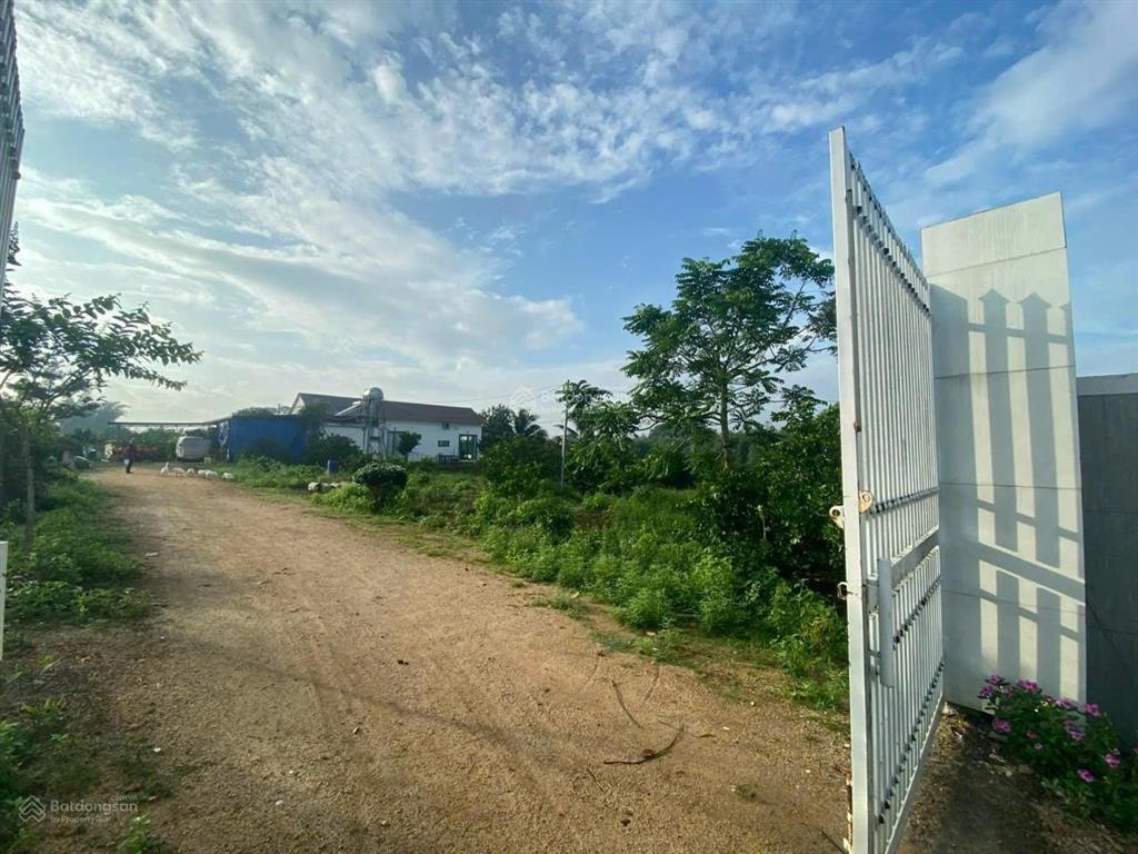 Bán đất đường dọc sông ray, xuân đông, cẩm mỹ, đồng nai