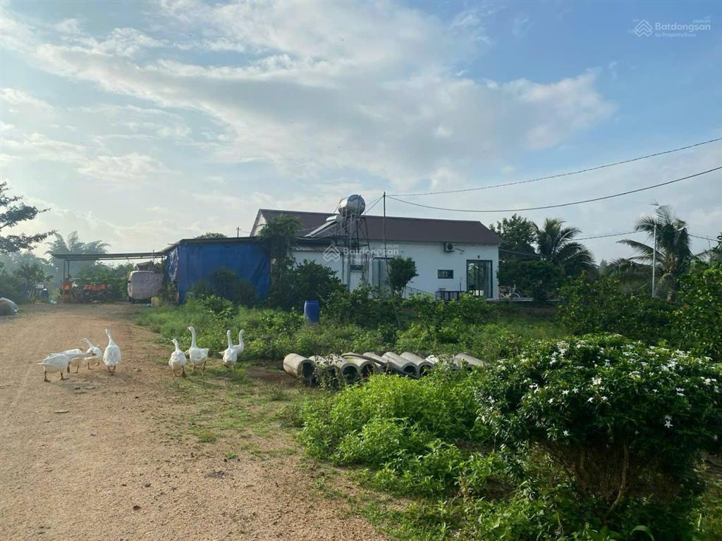 Bán đất đường dọc sông ray, xuân đông, cẩm mỹ, đồng nai