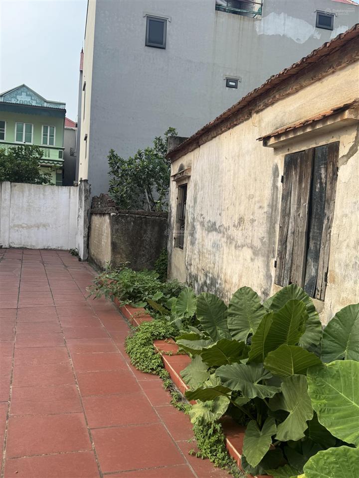 Chính chủ cần bán gấp thổ cư yên lãng yên phong, diện tích 90m2