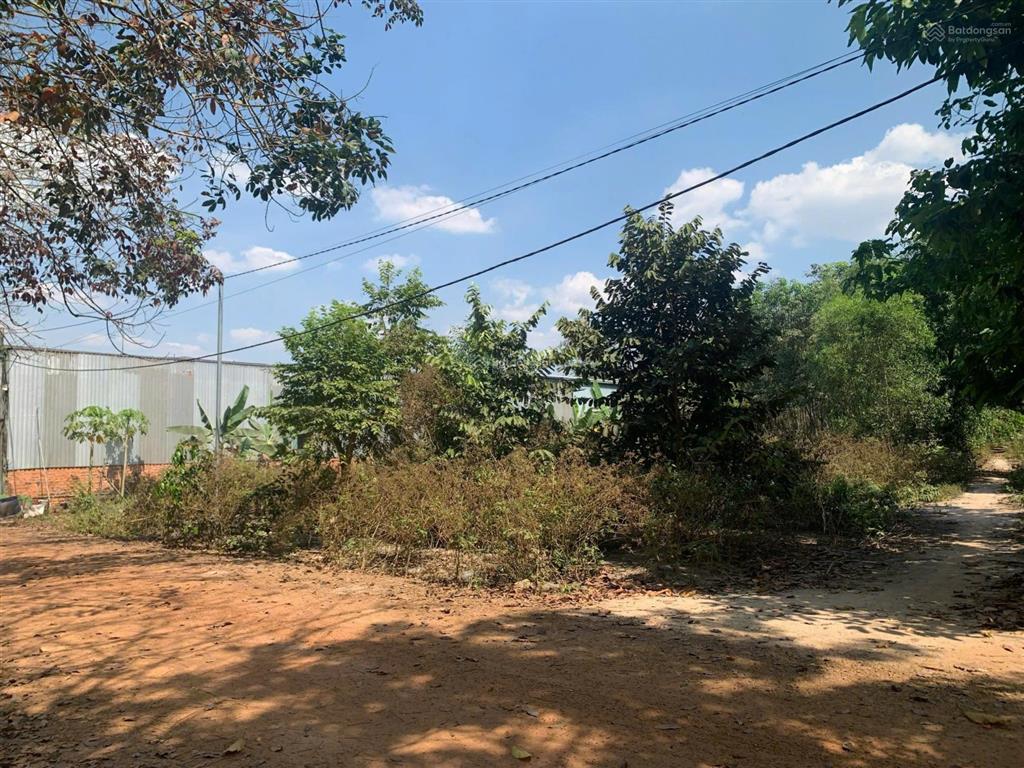 Bán đất 1 xẹt đường 746b, tân lập, bắc tân uyên, 1005m2 (300tc) chỉ 4,3 tỷ, thích hợp làm kho xưởng