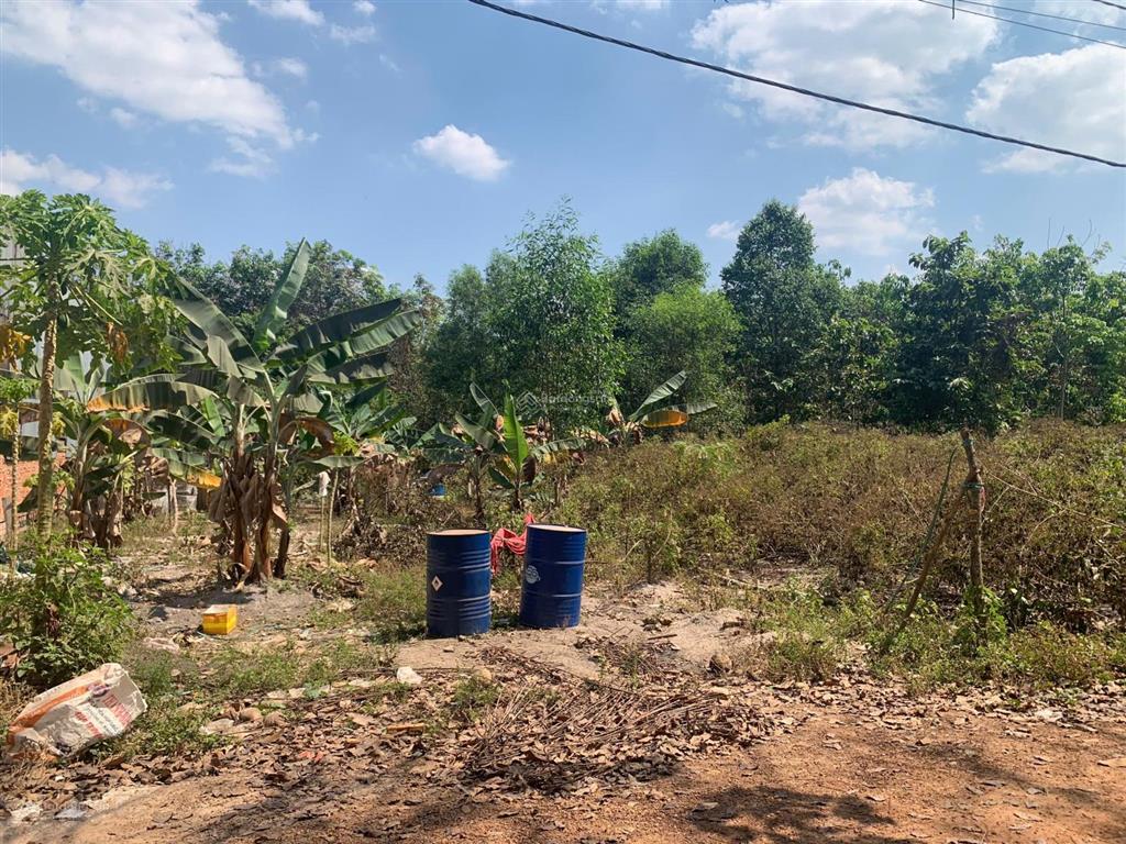 Bán đất 1 xẹt đường 746b, tân lập, bắc tân uyên, 1005m2 (300tc) chỉ 4,3 tỷ, thích hợp làm kho xưởng