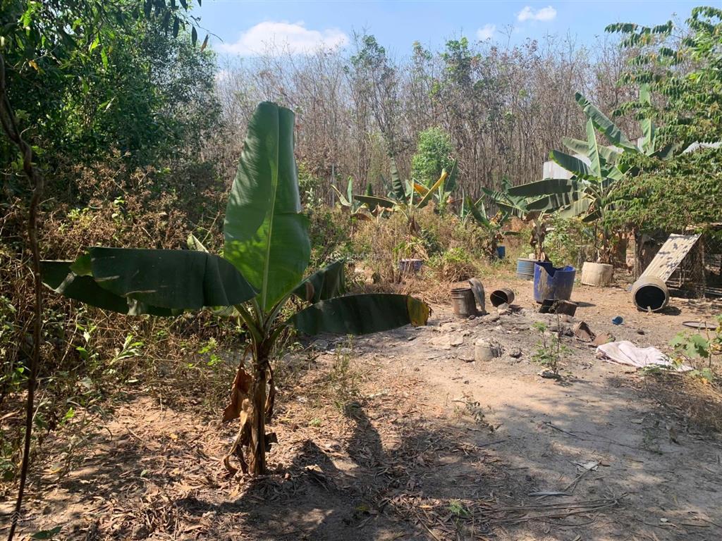 Bán đất 1 xẹt đường 746b, tân lập, bắc tân uyên, 1005m2 (300tc) chỉ 4,3 tỷ, thích hợp làm kho xưởng