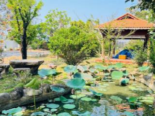 Bán nhà vườn 1310m ( 25 x50) tâm huyết gần biển no công việc tại tt phước hải  tphcm