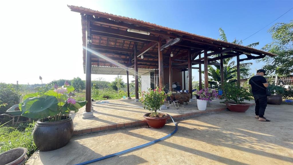 Chủ gửi bán lô đất 1000m2 có sẵn căn nhà gỗ ba gian bằng lim vườn cây ao cá long tân  đất đỏ