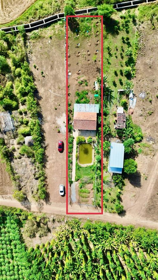 Chủ gửi bán lô đất 1000m2 có sẵn căn nhà gỗ ba gian bằng lim vườn cây ao cá long tân  đất đỏ