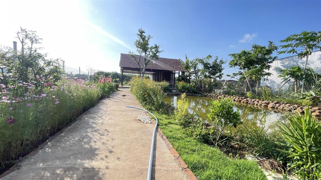 Chủ gửi bán lô đất 1000m2 có sẵn căn nhà gỗ ba gian bằng lim vườn cây ao cá long tân  đất đỏ