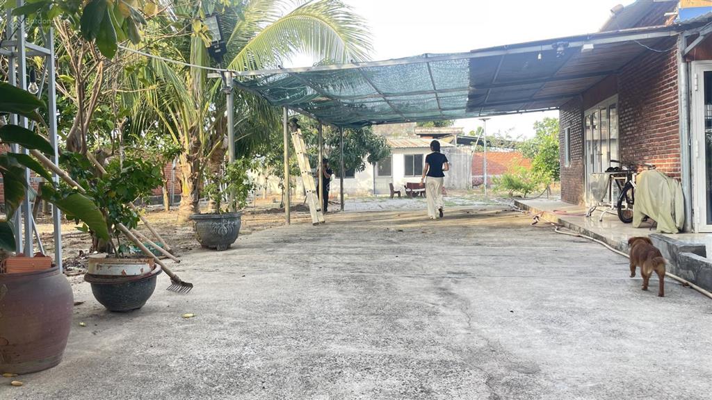 Bán căn nhà vườn nghỉ dưỡng  xã phước hải  tphcm (1537m2) có sẵn 96m2 tc, có sẵn vườn cây ăn trái