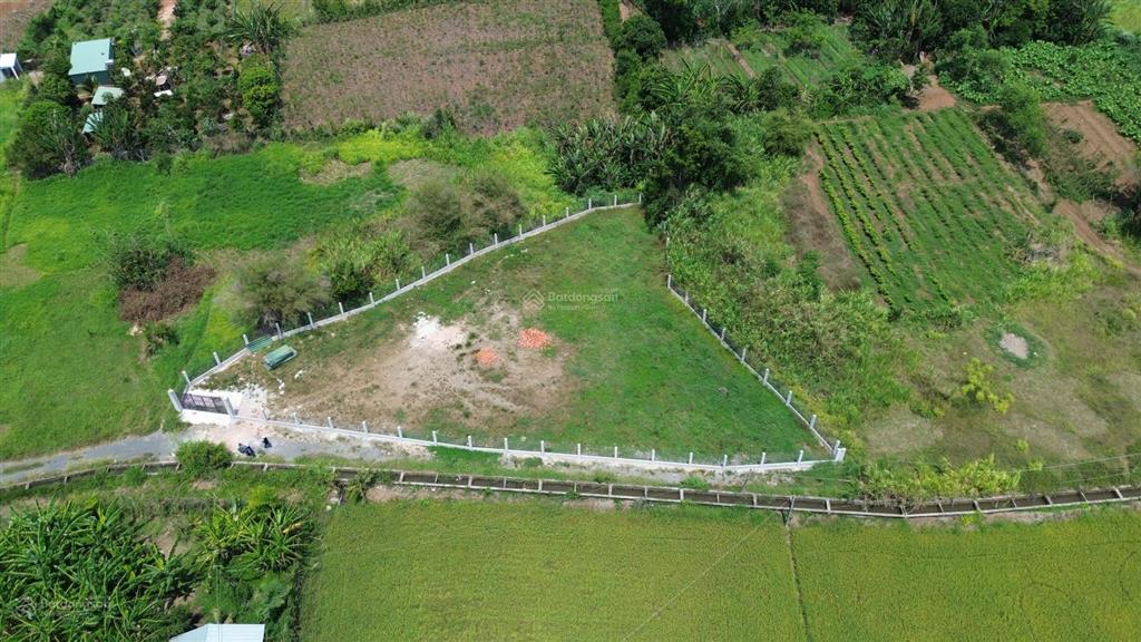 Bán lô đất 1337m2 thích hợp xây dựng nhà vườn nghỉ dưỡng  trung tâm thị trấn đất đỏ  brvt