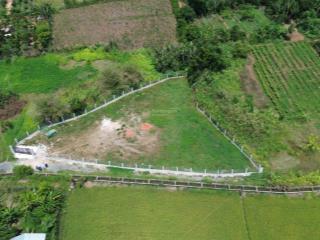 Bán lô đất 1337m2 thích hợp xây dựng nhà vườn nghỉ dưỡng  trung tâm thị trấn đất đỏ  brvt