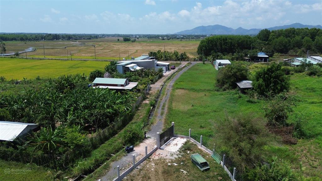 Bán lô đất 1337m2 thích hợp xây dựng nhà vườn nghỉ dưỡng  trung tâm thị trấn đất đỏ  brvt