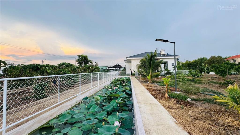 Cần bán căn nhà vườn mái nhật  mặt sàn 160mv  dt đất hơn 3000mv  sau  trung tâm thị trấn đất đỏ
