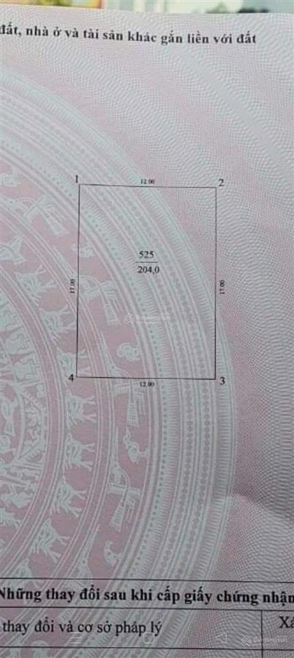 Bán đất tặng nhà biệt thự cũ 204m2 mặt tiền 12m, giá 50 tỷ
