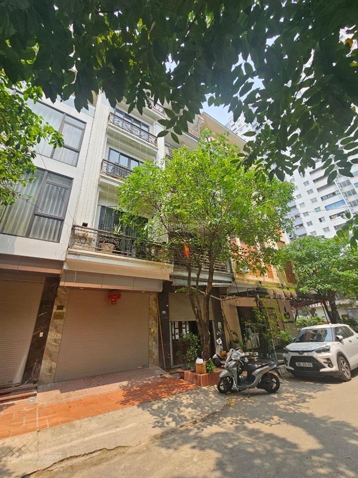 Đấu giá ngô thì nhậm 5 tầng mới đẹp kinh doanh, phân lô ô tô tránh giá tốt