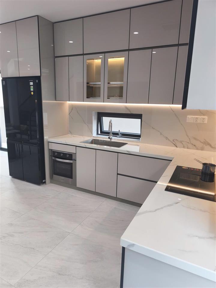 Cho thuê biệt thự đơn lập sun casa central  250m2 nội thất cao cấp, chỉ 28 triệu/tháng