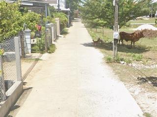 Đất nền thôn long hoà, xã tu bông khánh hoà thổ cư 134,1m2, giá 14,5 triệu/m2