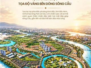 Quỹ sản phẩm dành cho người nước ngoài vinhomes king park