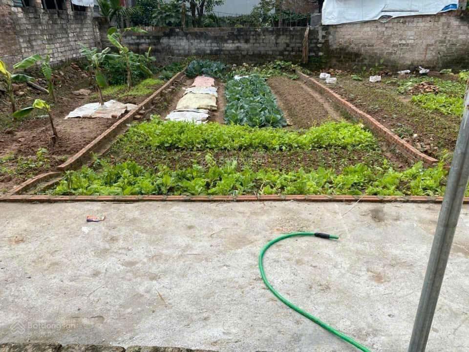Bán đất đẹp, 1,95 tỷ, 55m2 tại thanh phần, xã phúc hòa, phúc thọ, hà nội