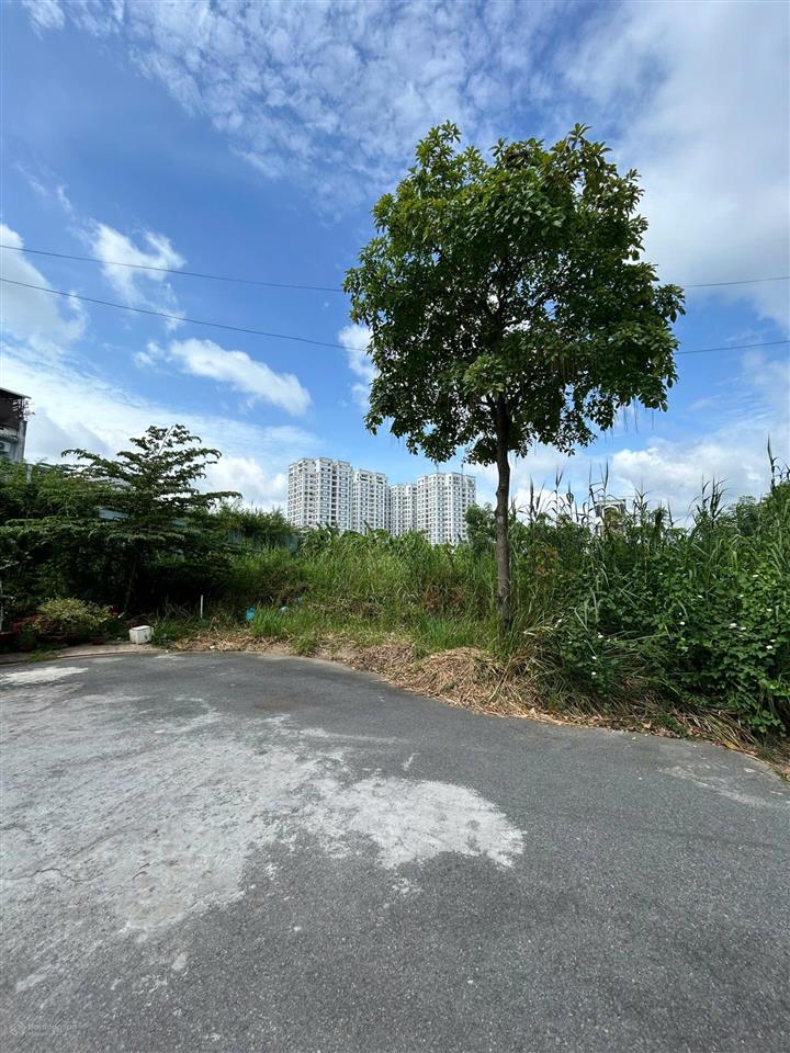 Bán đất 2 mặt tiền kdc green riverside, dự án ngay mặt tiền đường huỳnh tấn phát, giá 4,85t, 100 m2