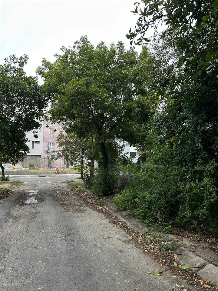 Đất 2 mặt tiền sát kdc đào sư tích xã nhà bè, tp hồ chí minh