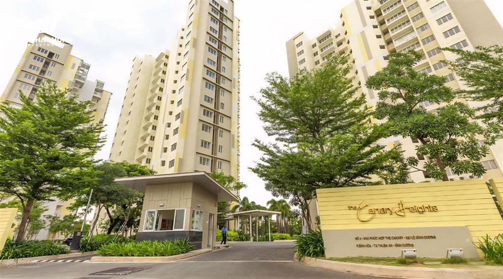 Căn hộ the canary height  94m2