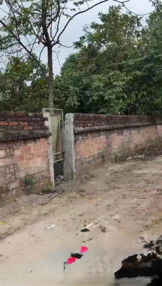 Bán 100m² full thổ cư sổ đỏ hà nội đường nhựa 2 ô tô tránh cách vđ5 chỉ 400m giá đầu tư