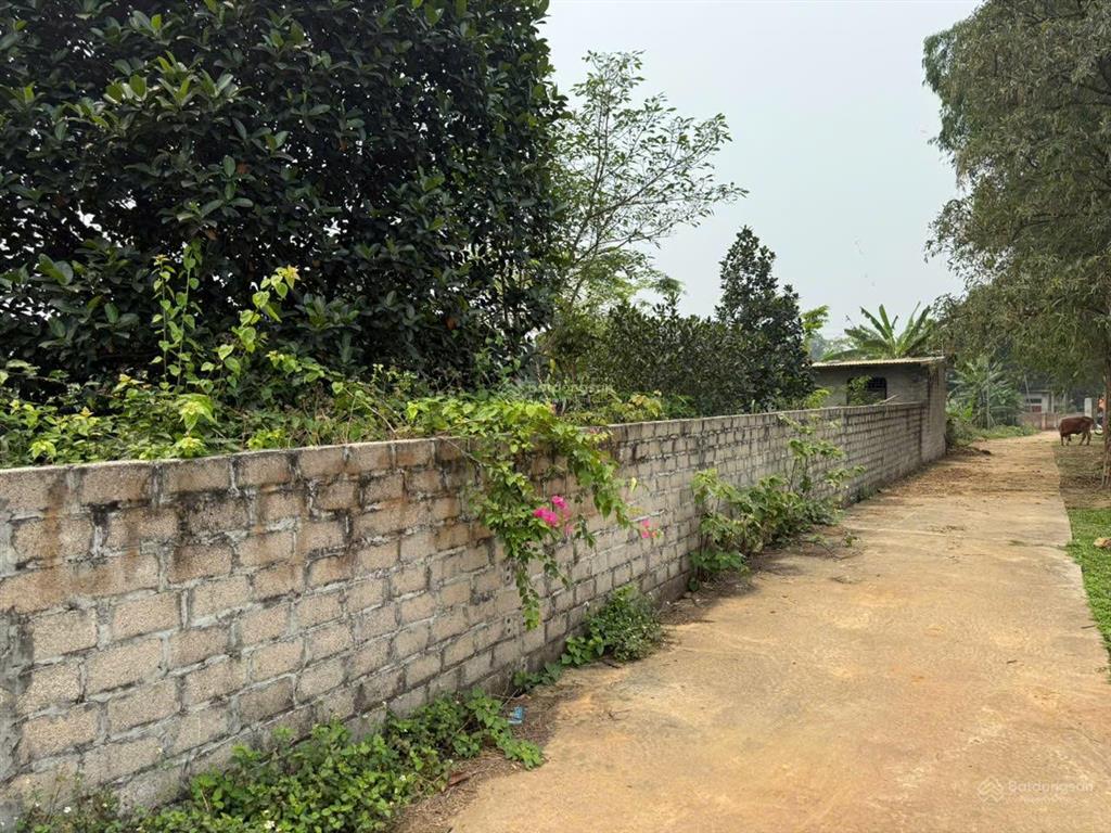 1704m² đất phường tùng thiện mặt tiền 62m siêu hiếm, chia lô đầu tư tích sản, xây nhà vườn